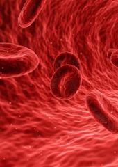 An illustrated image of red blood cells. Miller Orthopedic uses stem cells for regenerative medicine purposes.